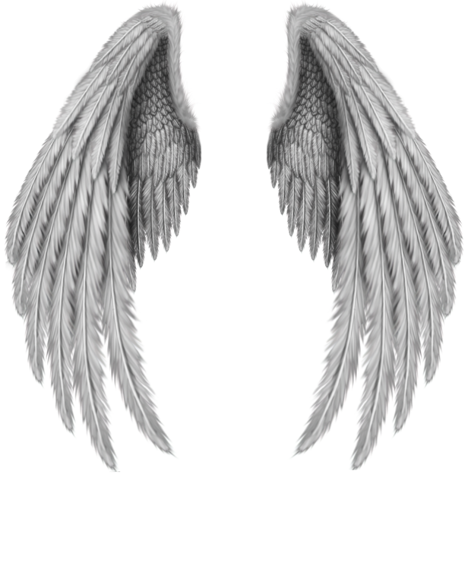 a pair of black and white wings on a white background