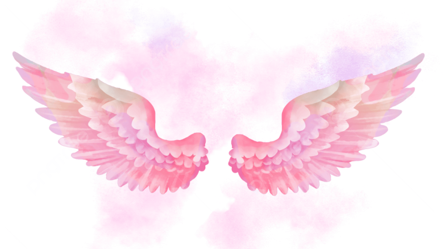two pink wings on a white background