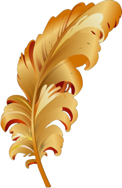 a golden feather on a white background