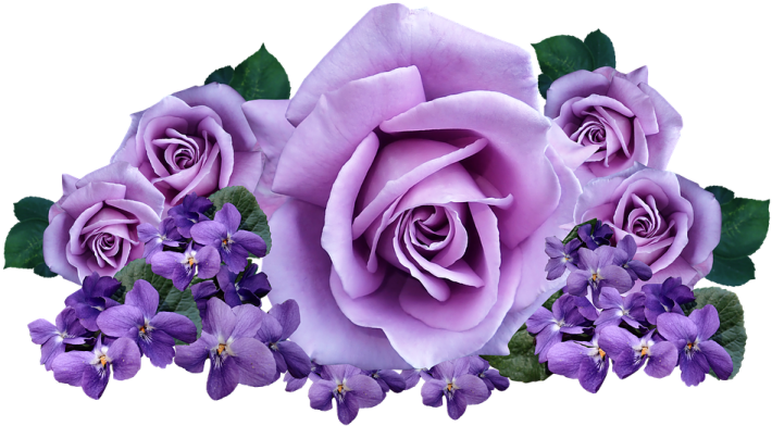 a bunch of purple roses with green leaves