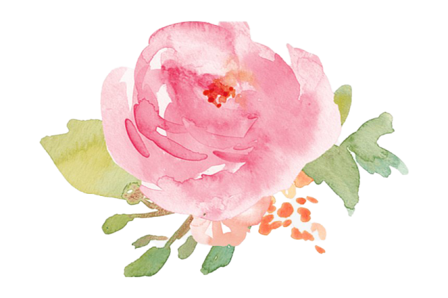 a watercolor rose on a white background