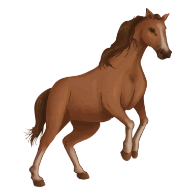 a brown horse running on a white background