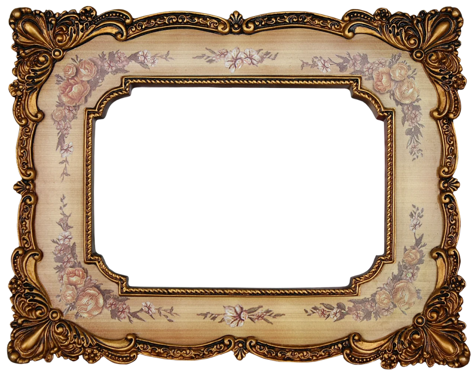 an ornate gold frame with a floral pattern