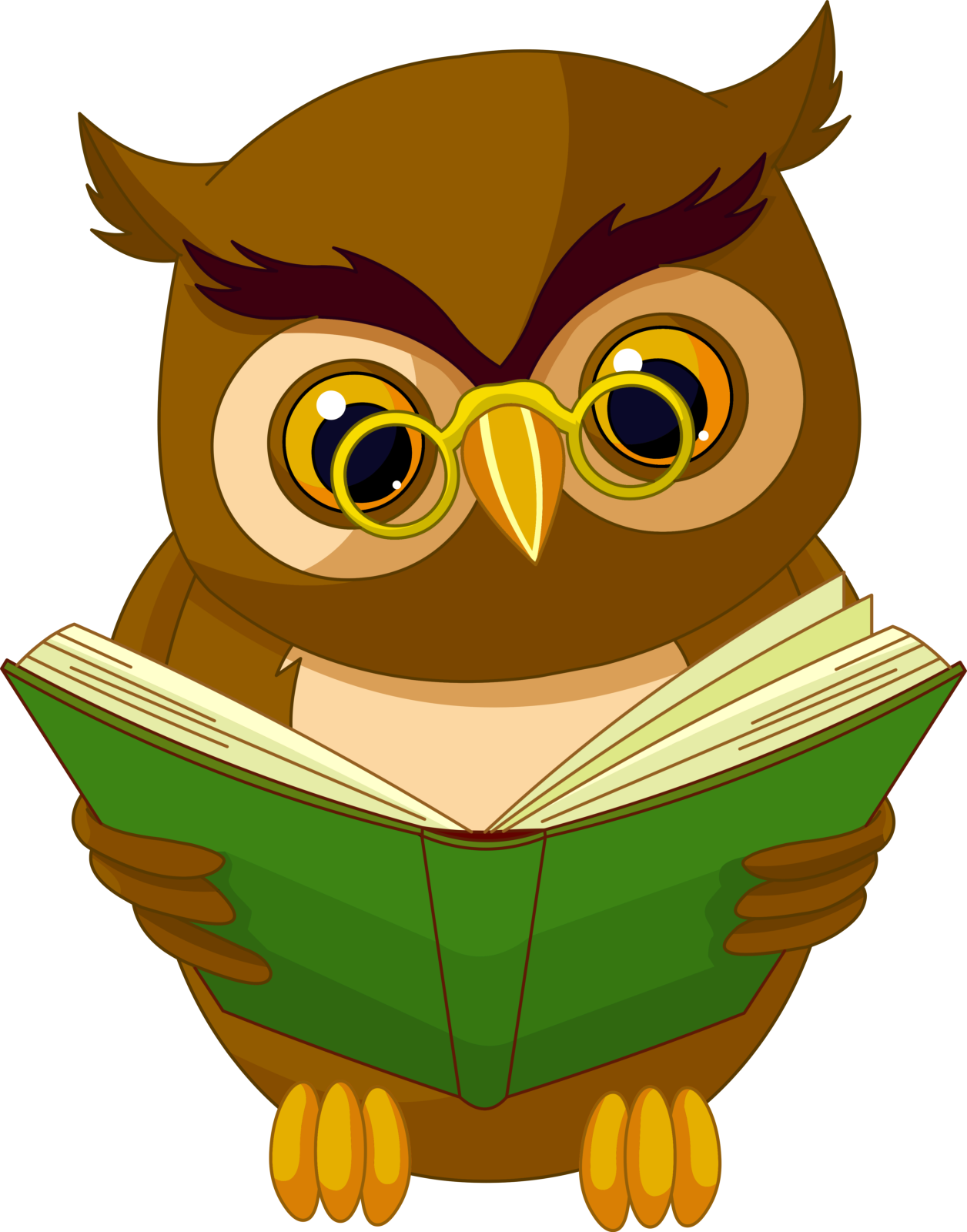 an owl reading a book