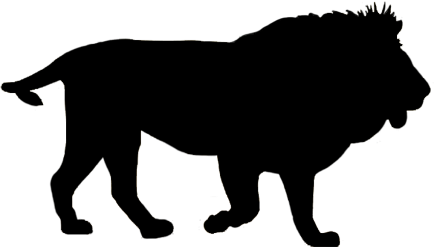 a lion silhouetted on a white background