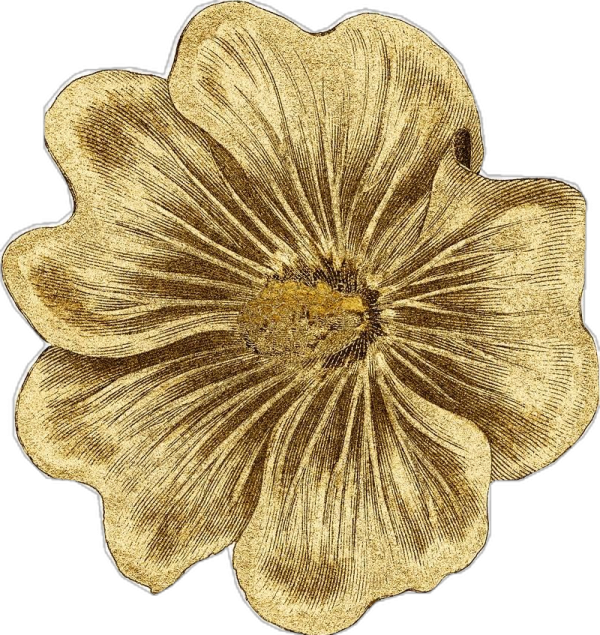 a gold flower on a white background
