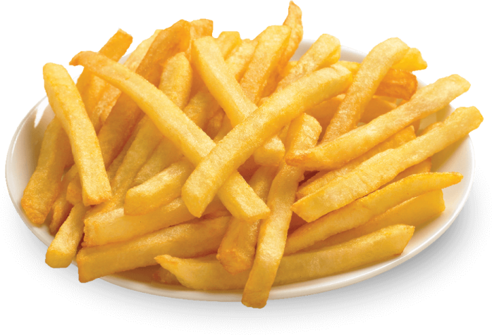 a plate of french fries on a white background