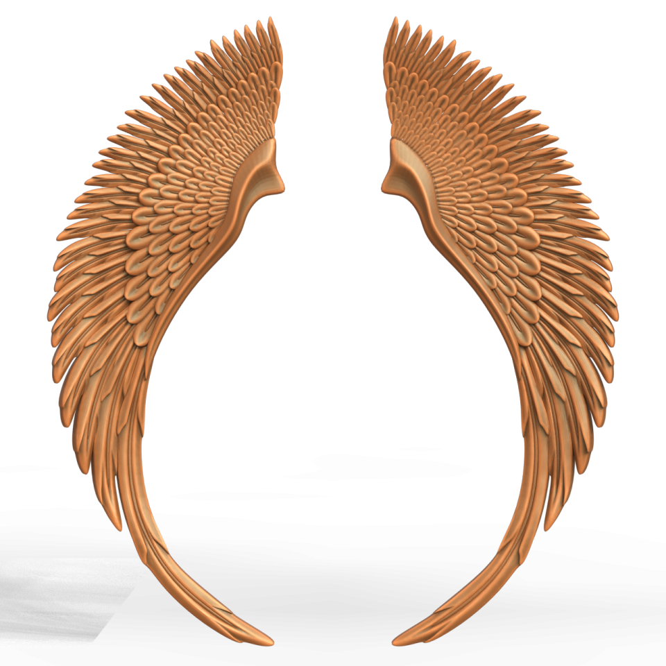 a pair of wings on a white background