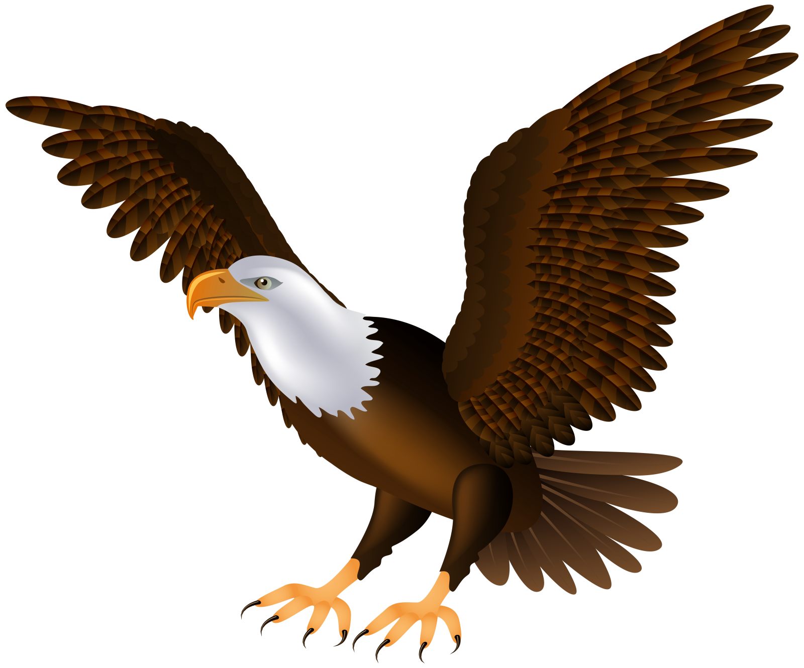 an eagle flying with its wings spread