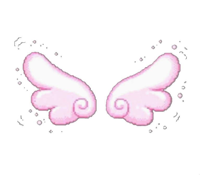 two pink butterflies on a white background