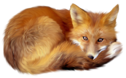a drawing of a dog with long hair