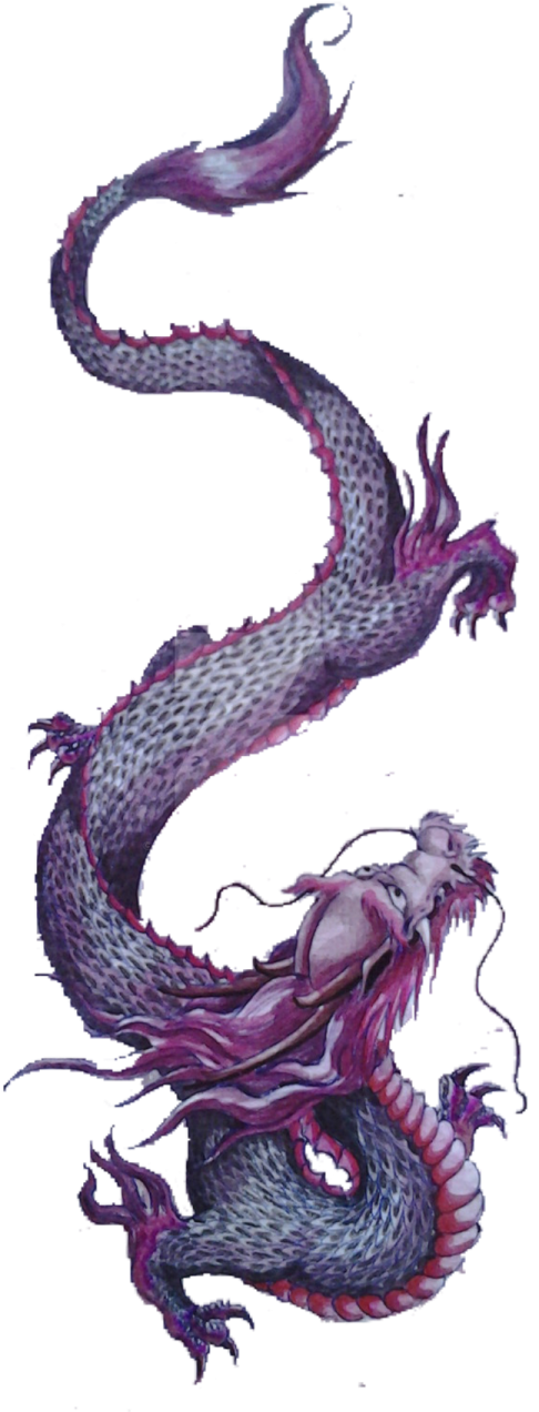 a drawing of a dragon