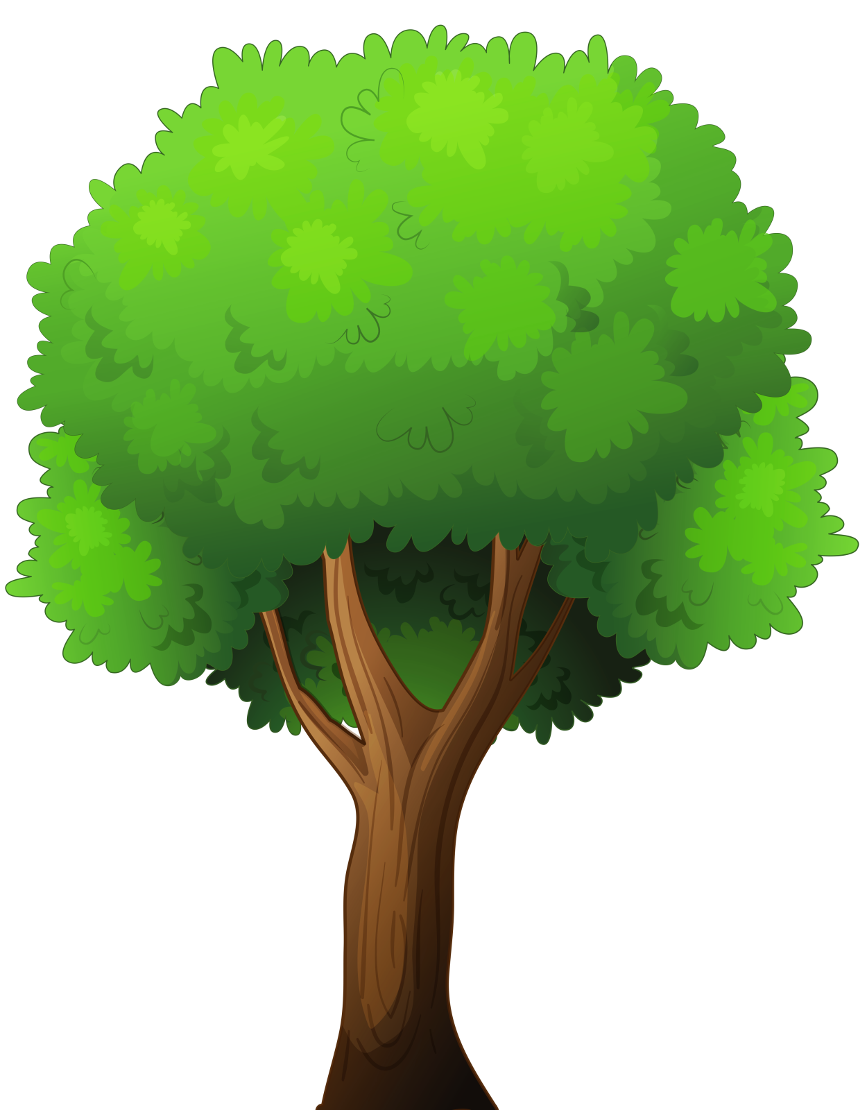 a green tree on a white background