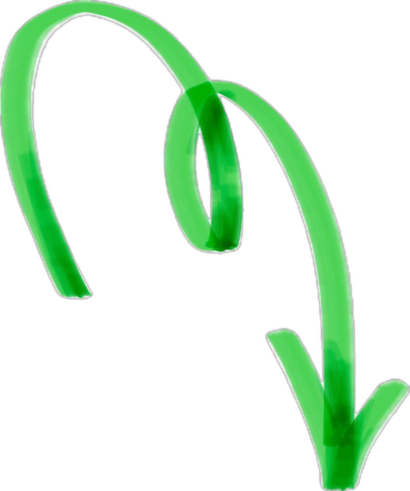a pair of green plastic hair ties