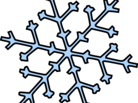 an image of a snowflor