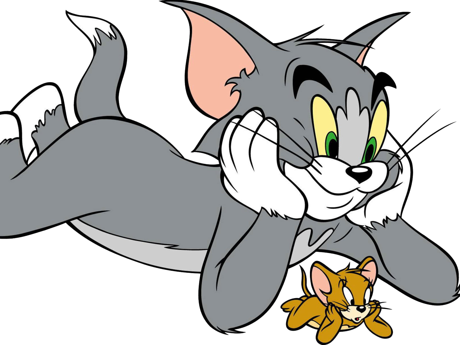 a gray cat with yellow eyes and green eyes