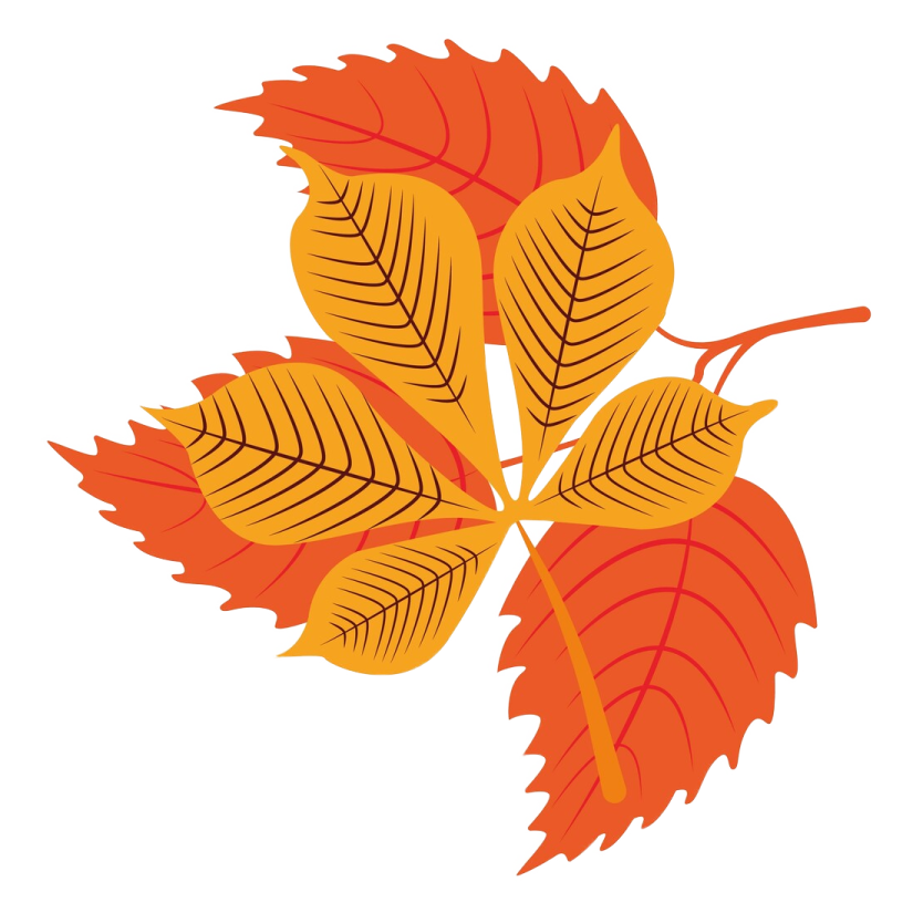 a bunch of autumn leaves