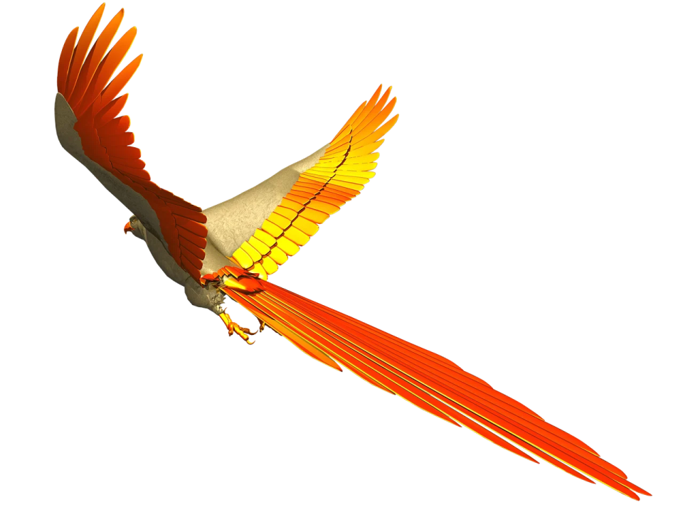 a red and yellow bird flying in the sky