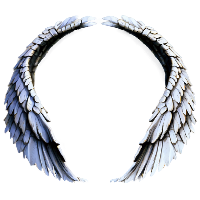 a pair of wings on white background