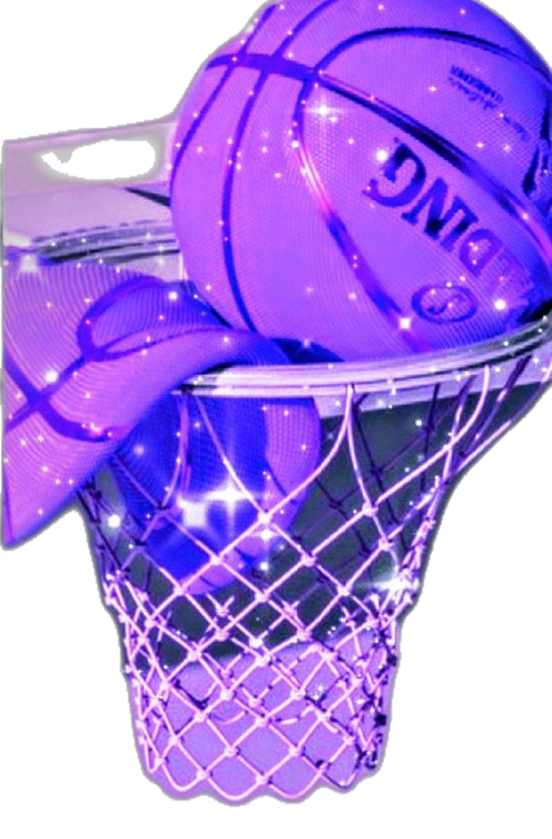 an image of a basketball ball in a net