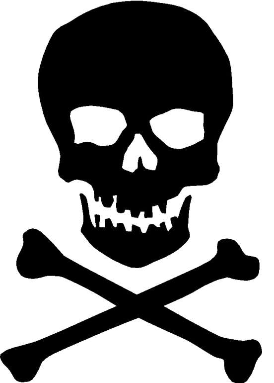 a skull and crossbone on a white background