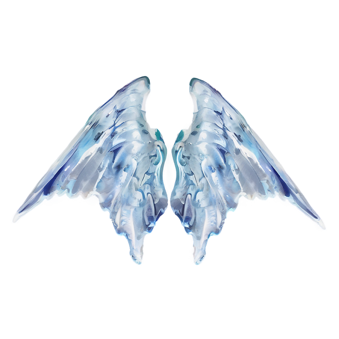 a pair of wings on a white background