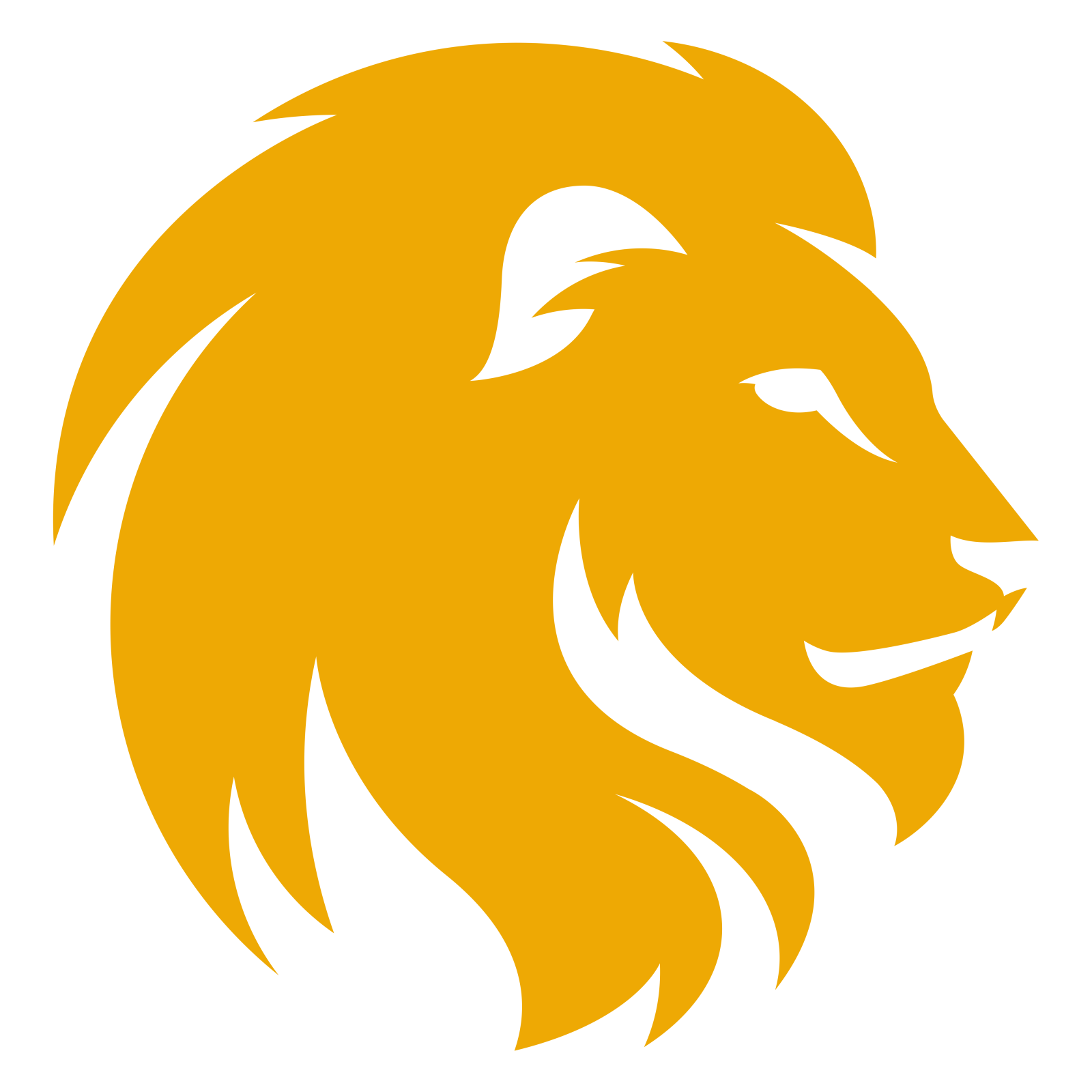 a lion head with a white background