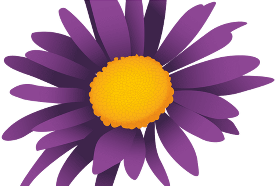 a purple flower with yellow center