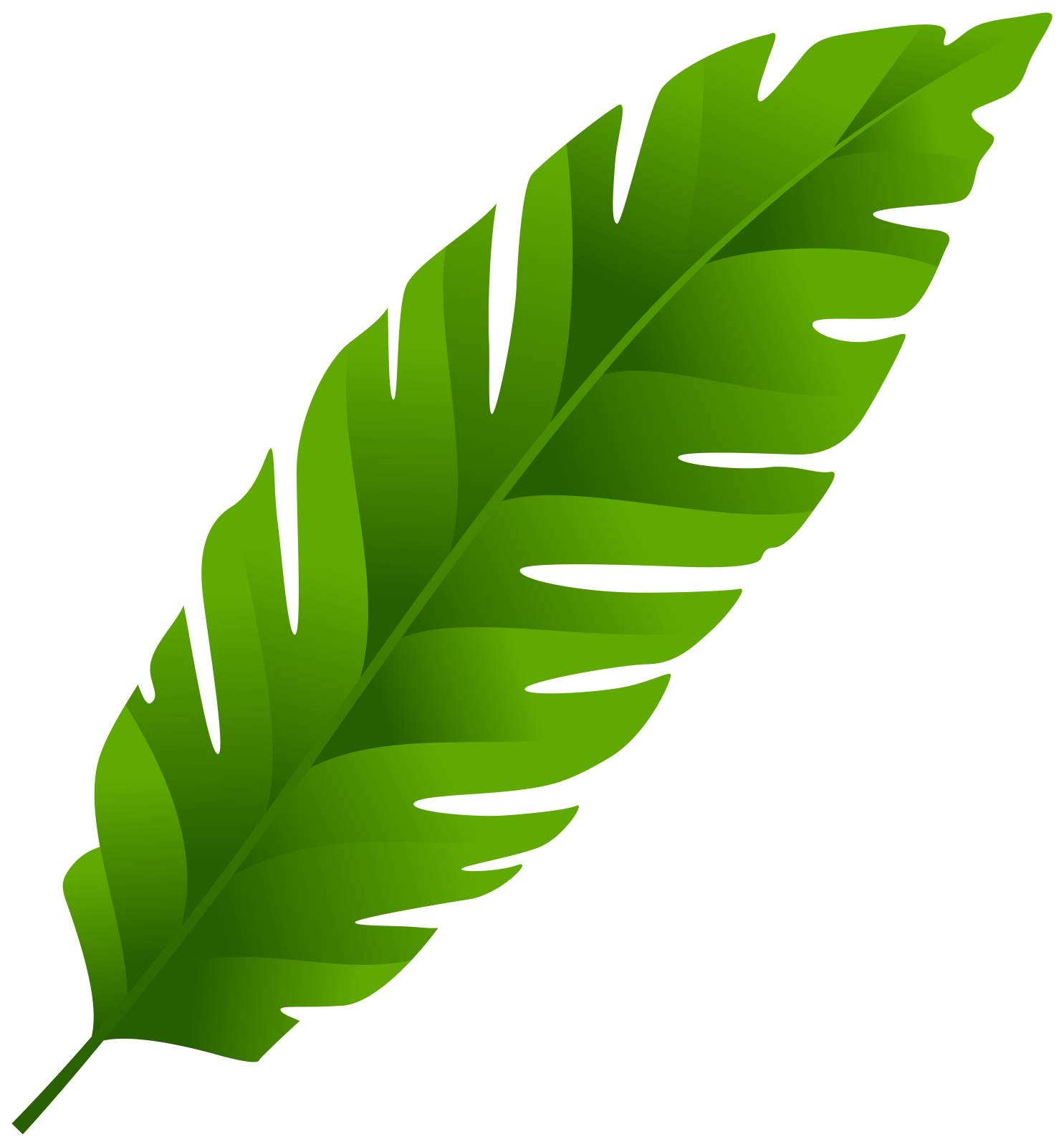 a green leaf