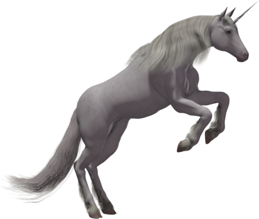 a unicorn is jumping in the air