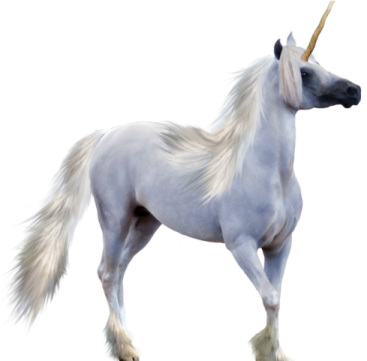 a white unicorn standing on its hinds