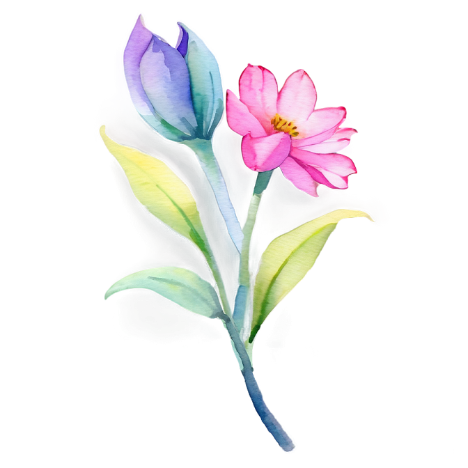 two watercolor flowers on a white background
