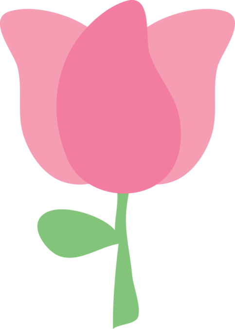 a pink flower on a white background