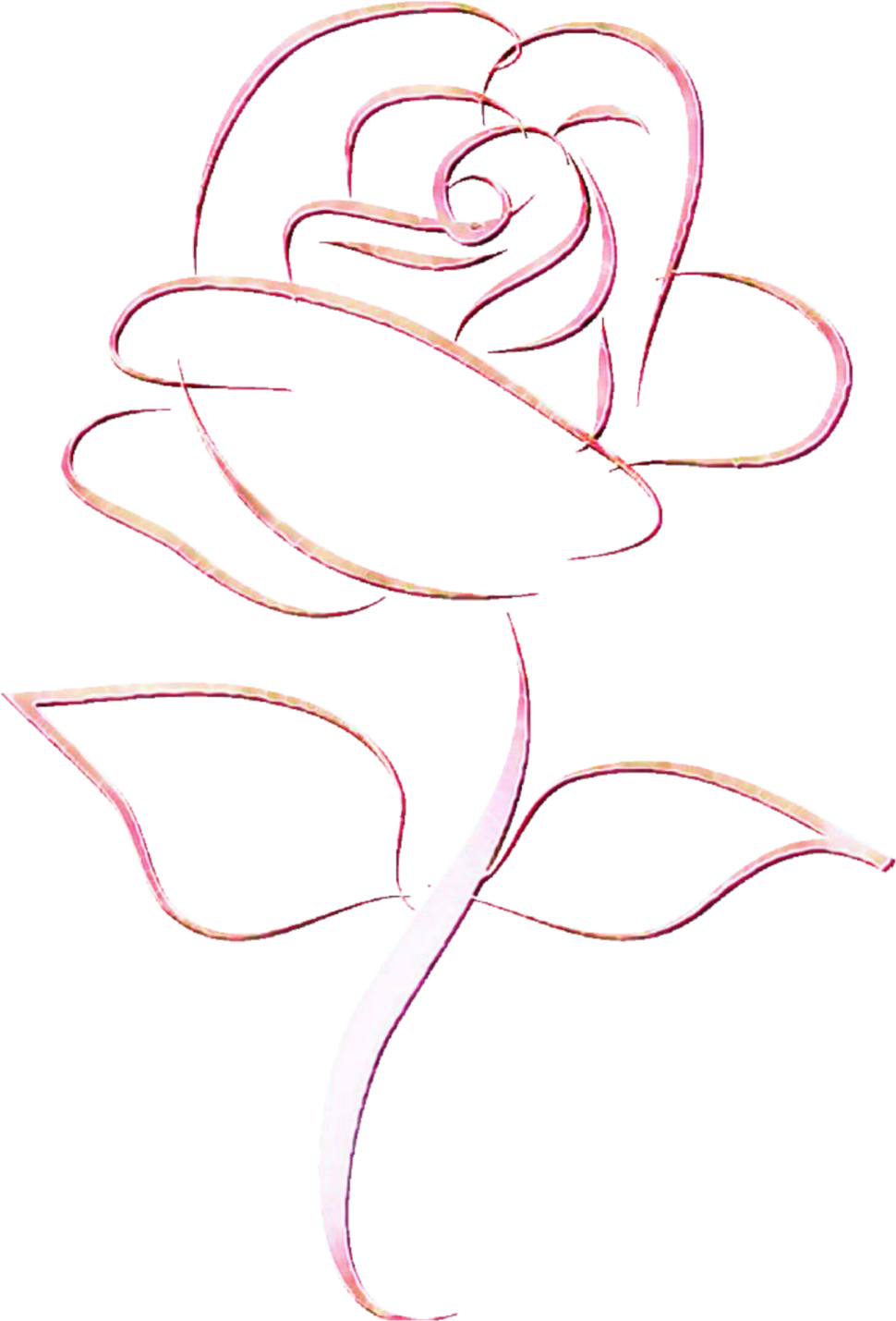a drawing of a rose