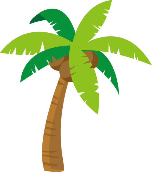 a palm tree