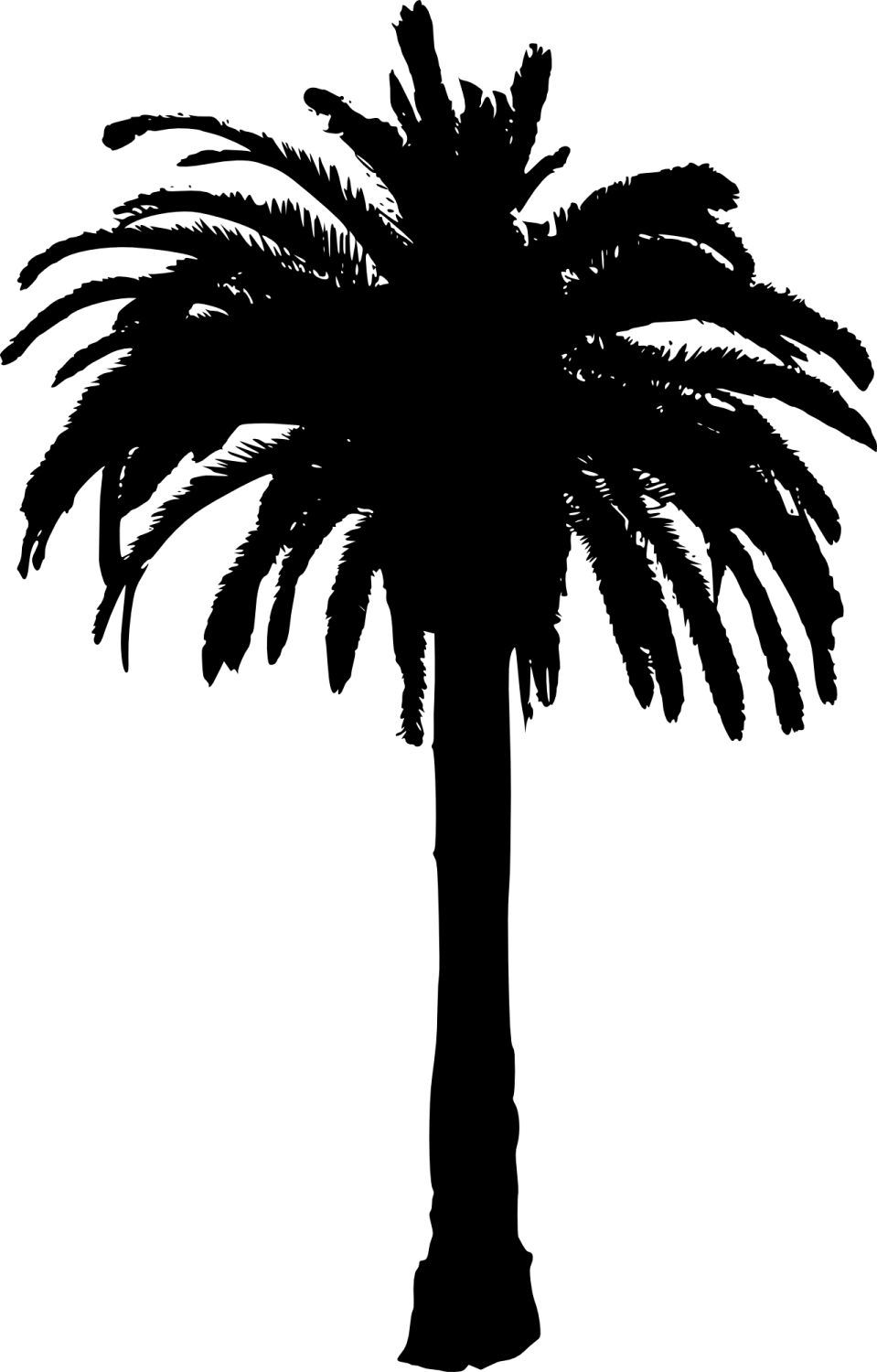 a palm tree silhouetted against a white background