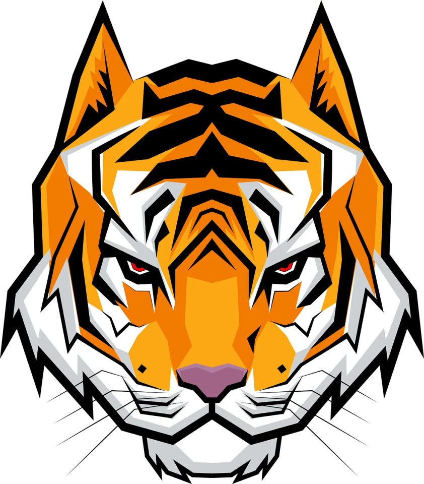 the head of a tiger