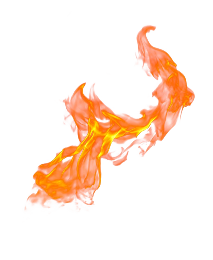 fire on a white background