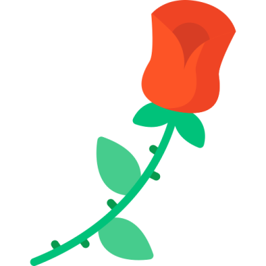 a red rose on a white background