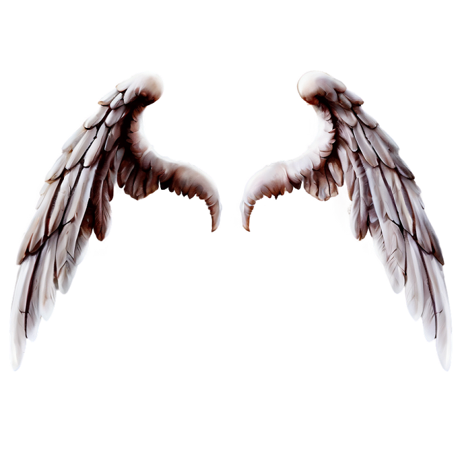two white wings on a white background