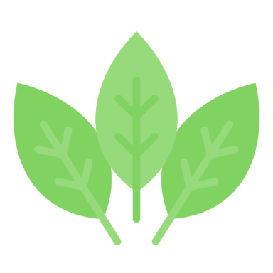 a green leaf on a white background