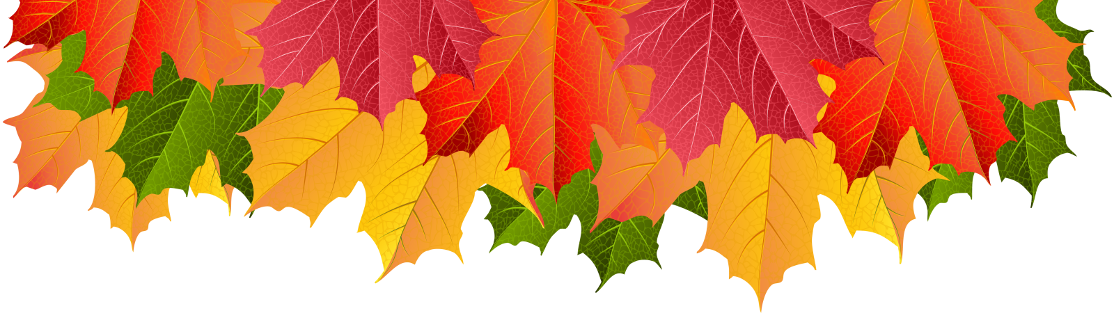 a bunch of colorful fall leaves