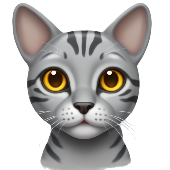 a gray cat with yellow eyes