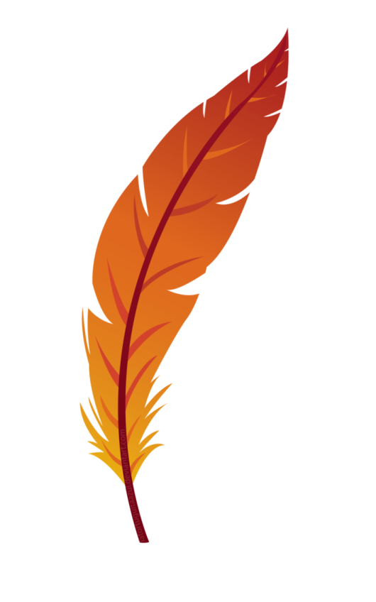 an orange feather on a white background