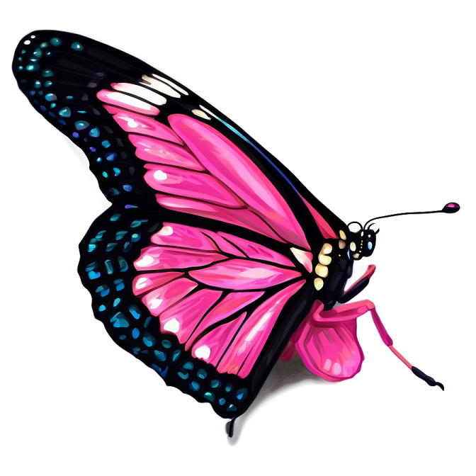 a pink butterfly on a white background
