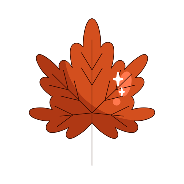 an orange maple leaf with a white background