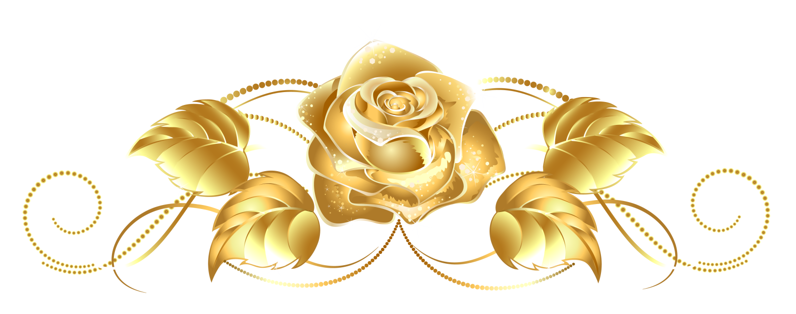 a gold rose on a white background