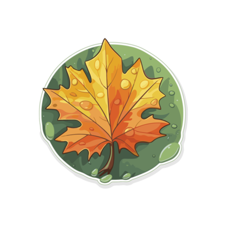 a maple leaf with water droplets on it