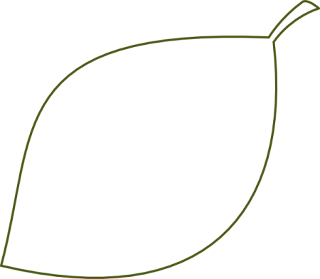 a line drawing of a leaf