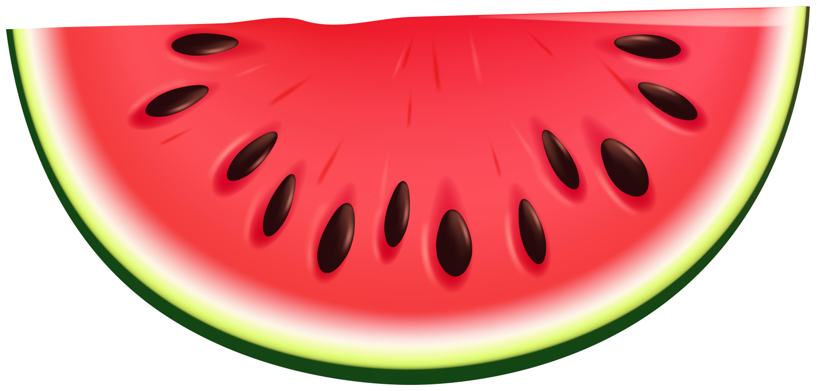 a slice of watermelon